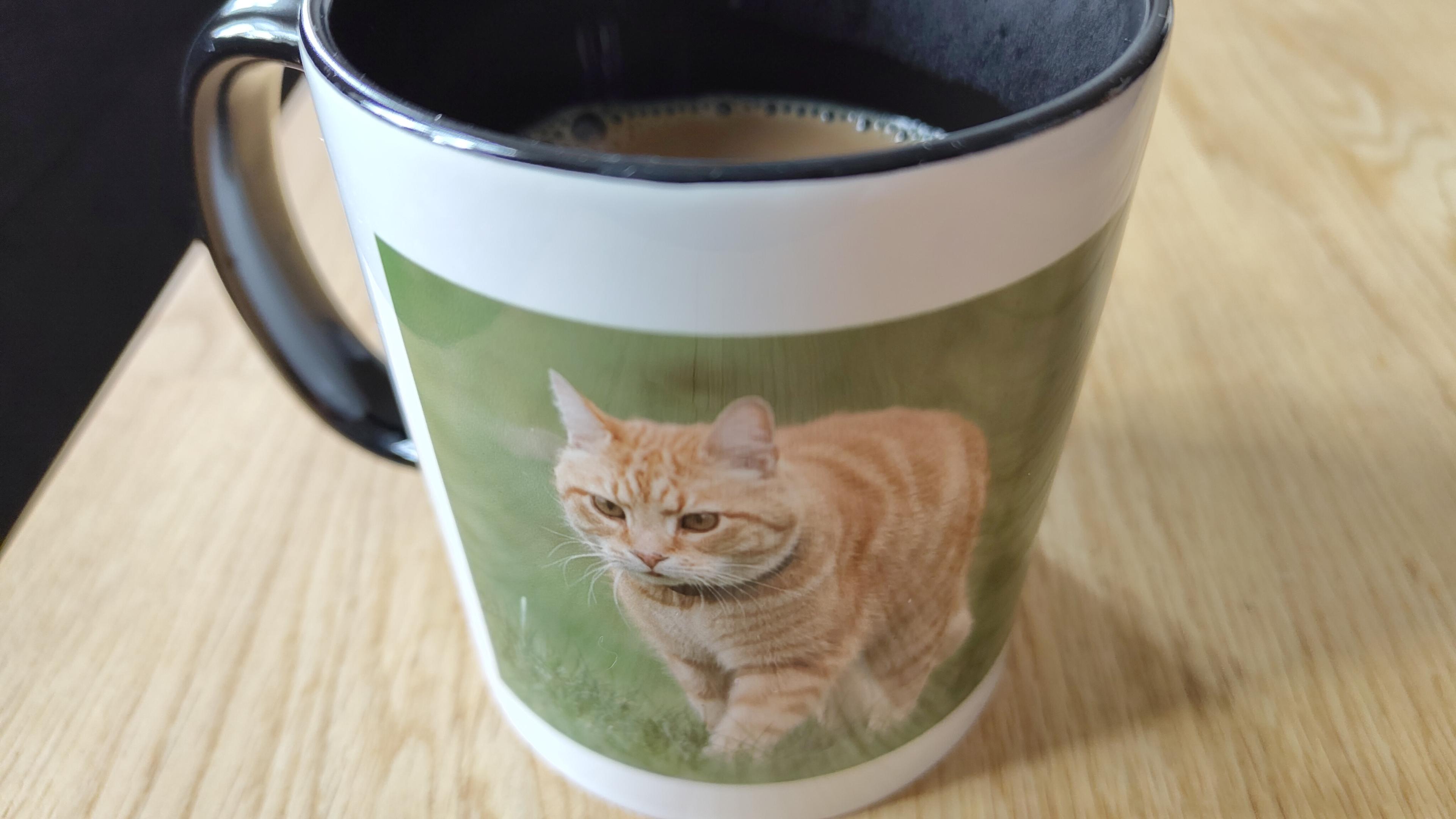 Mugg mef kattmotiv.