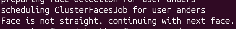 Terminalprompt som visar texten "Scheduling ClusterFacesJob for user anders. Face is not straight. continuing with next face."